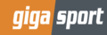 Gigasport - Infos zur Ratenkauf inkl. Ratenrechner Bei Gigasport in Raten zahlen