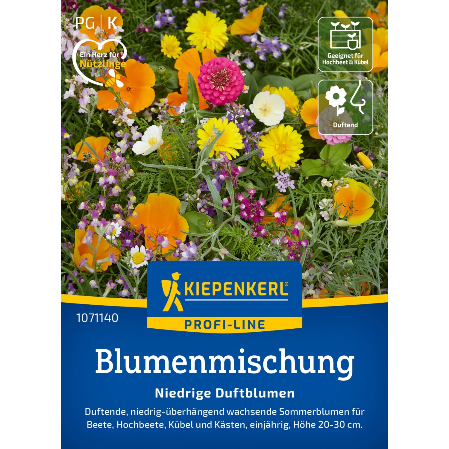 Kiepenkerl Duftblumenmischung Duftender Steingarten niedrig