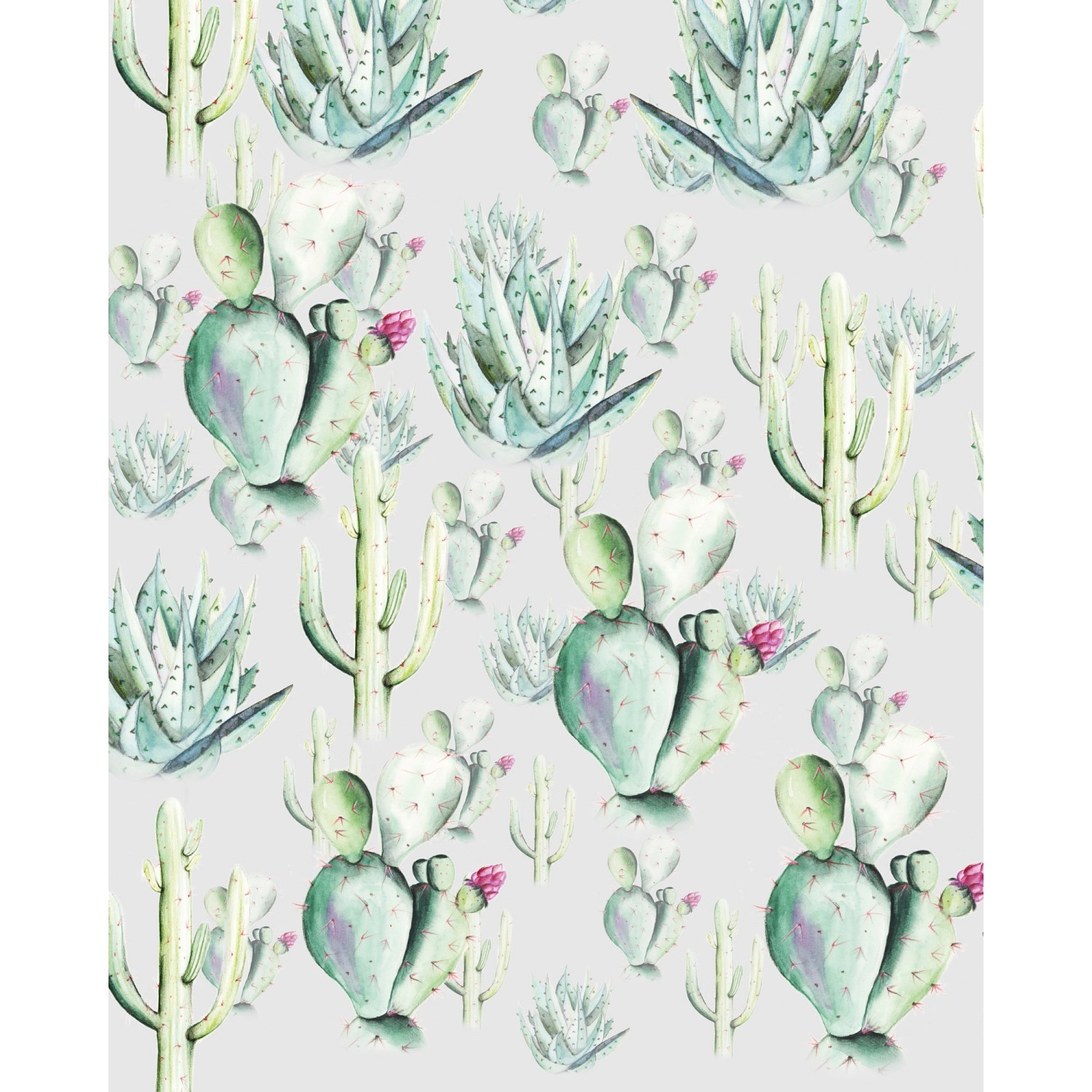 Komar Fototapete Vlies Cactus Grey 200 x 250 cm