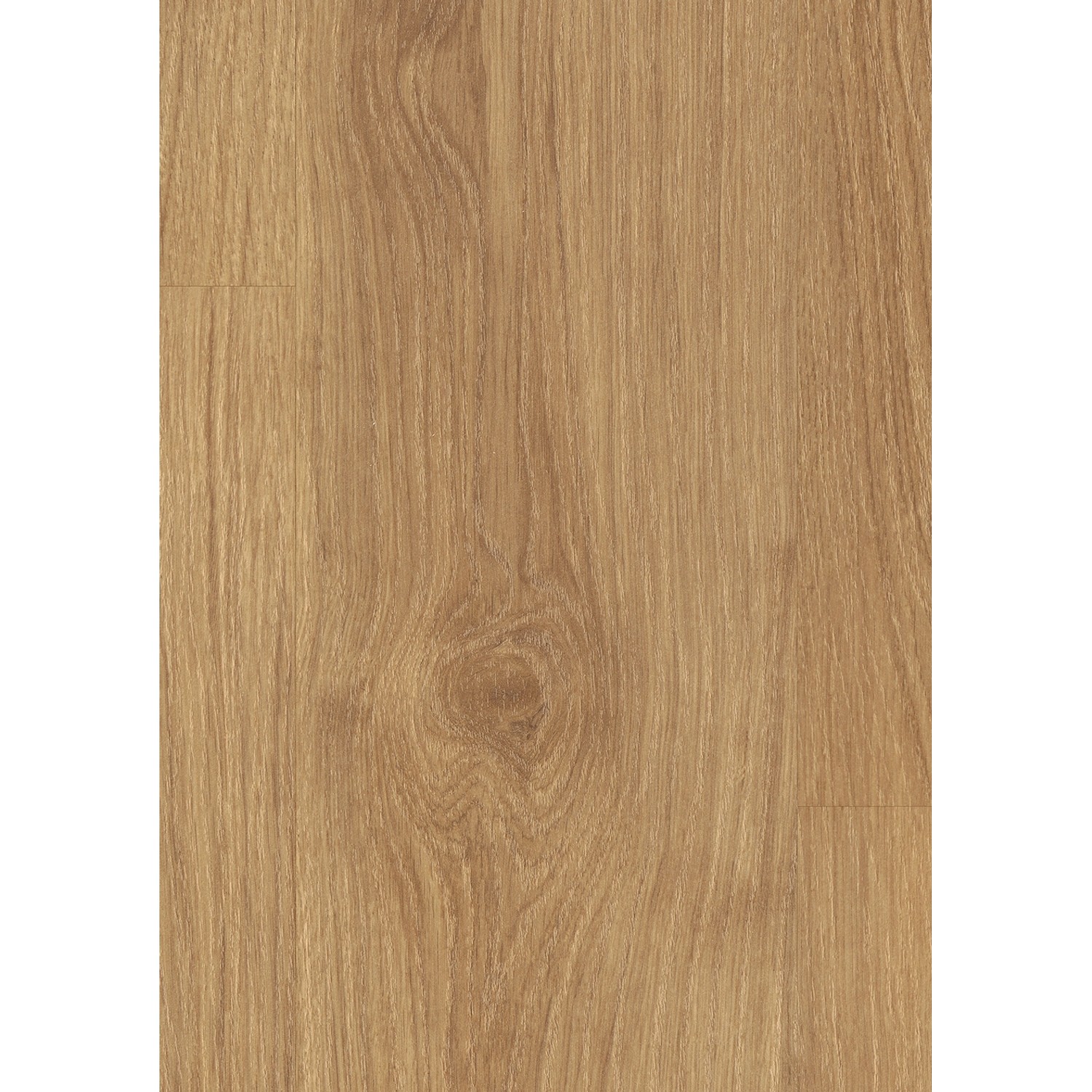 Egger Classic Laminat 8 mm Eiche Dallas Honig