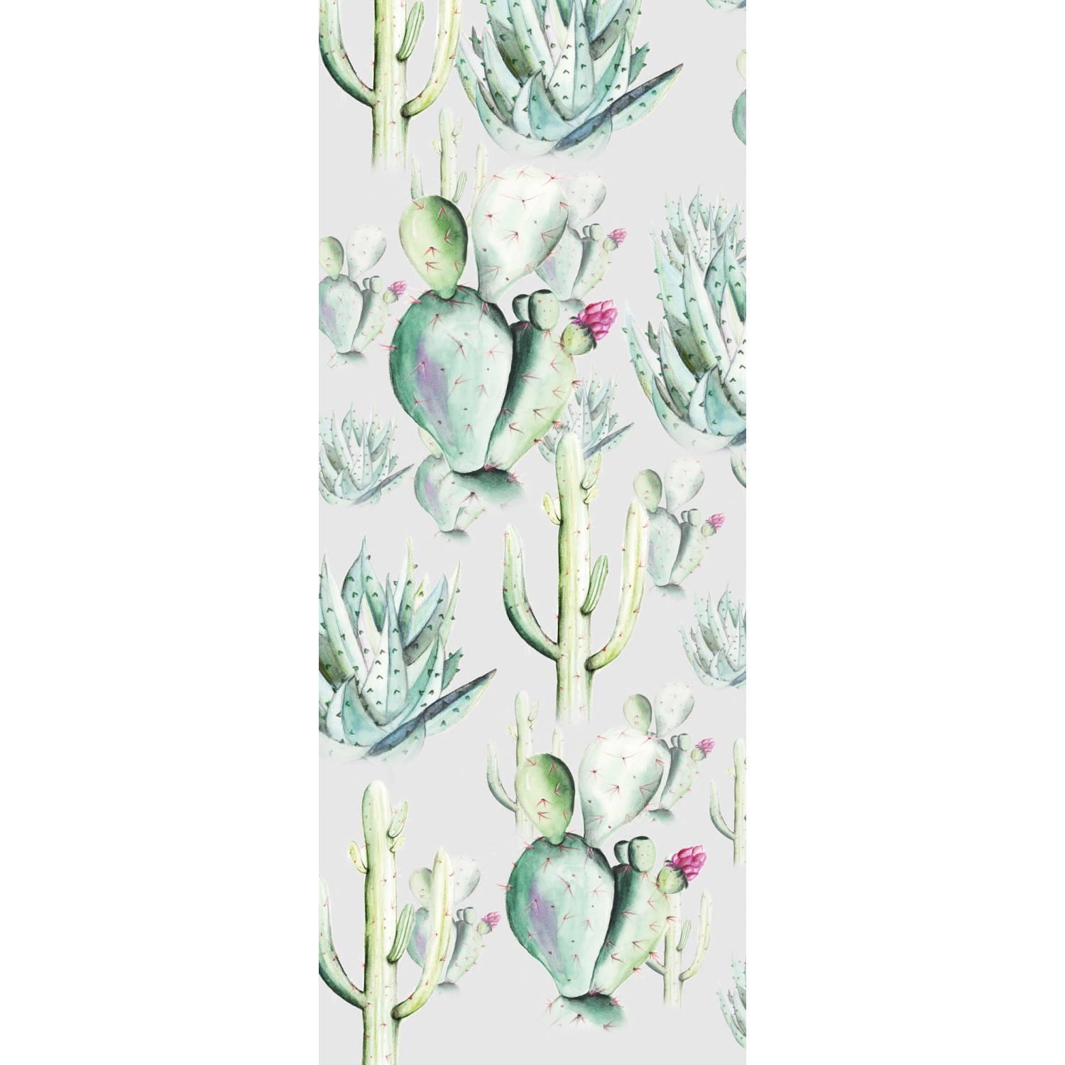 Komar Fototapete Vlies Cactus Grey Panel 100 x 250 cm 100 x 250 cm