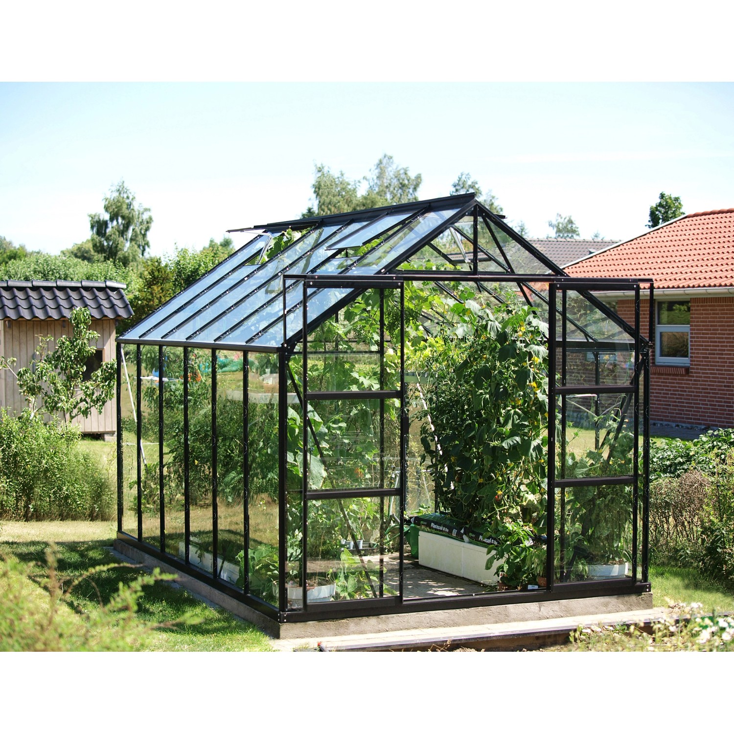 Vitavia Gewächshaus Uranus 9900 Schwarz 9,9 m²