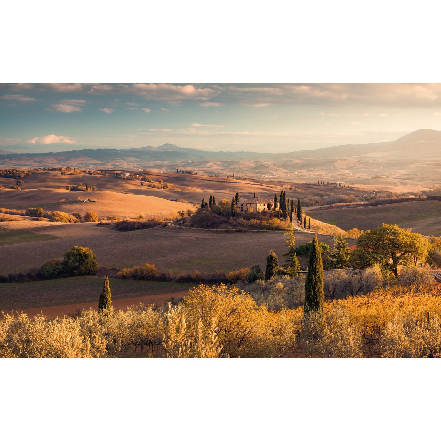 Komar Fototapete Vlies Toskanagold 400 x 250 cm