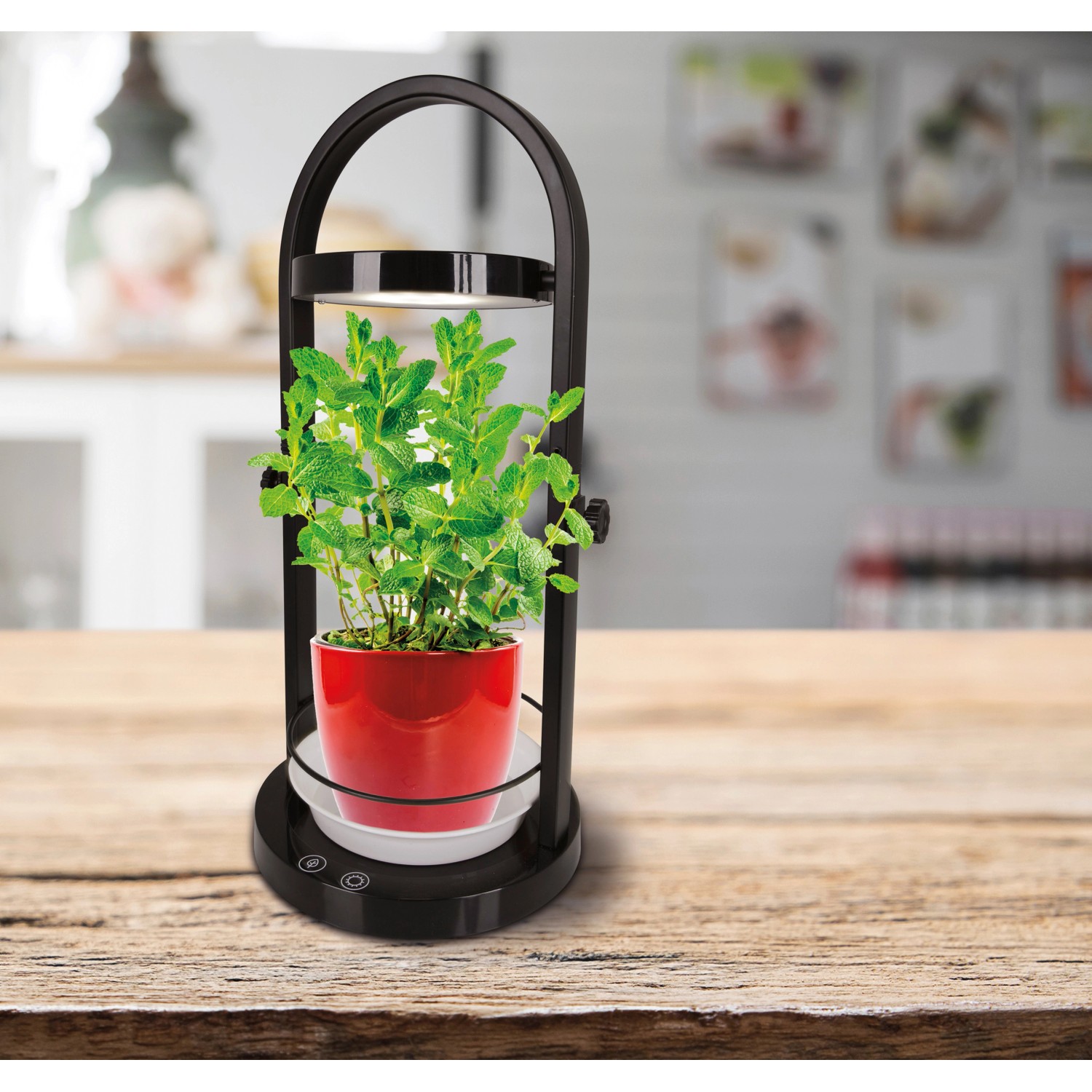 Näve LED-Tischleuchte Pflanzen 53,5 cm