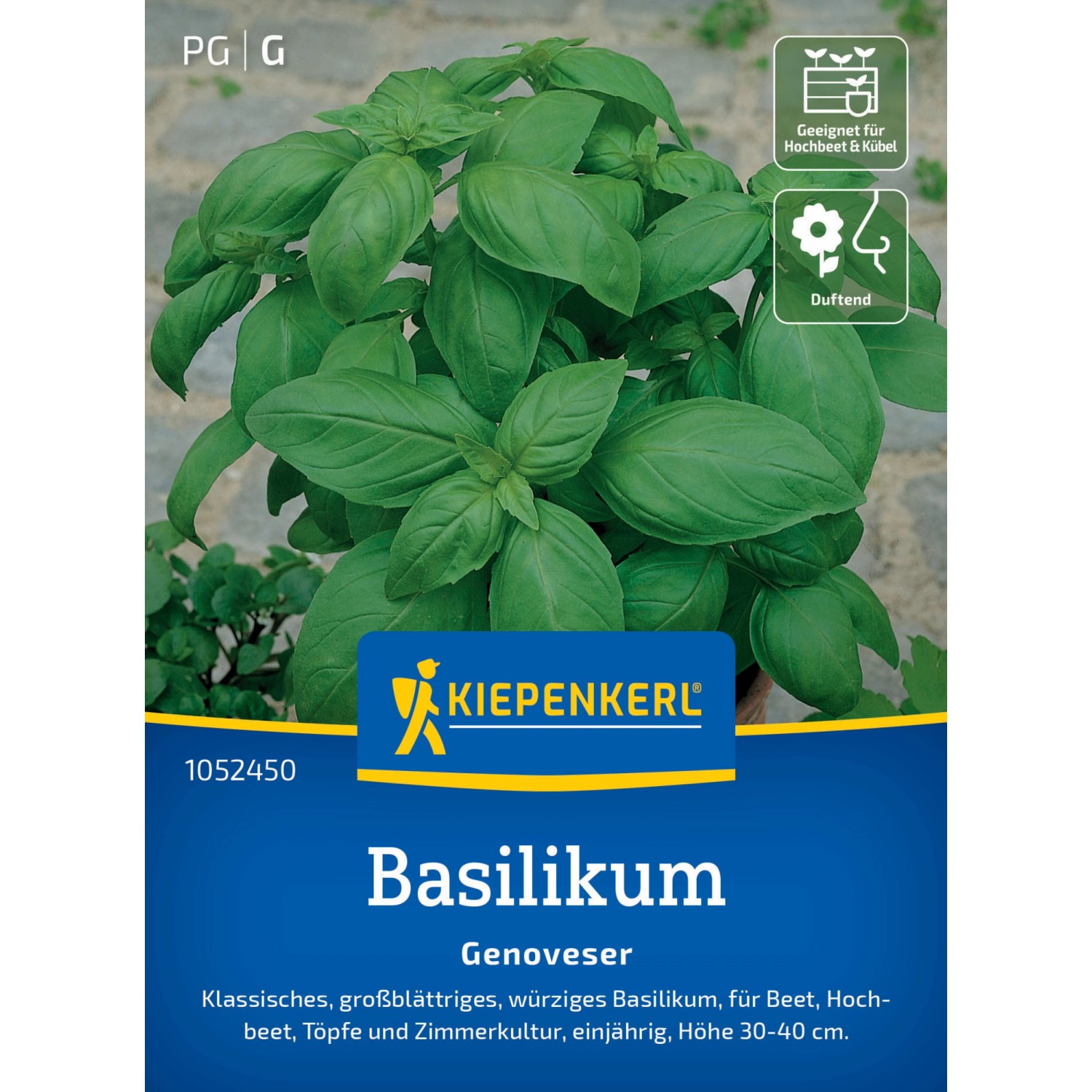 Kiepenkerl Basilikum Genoveser