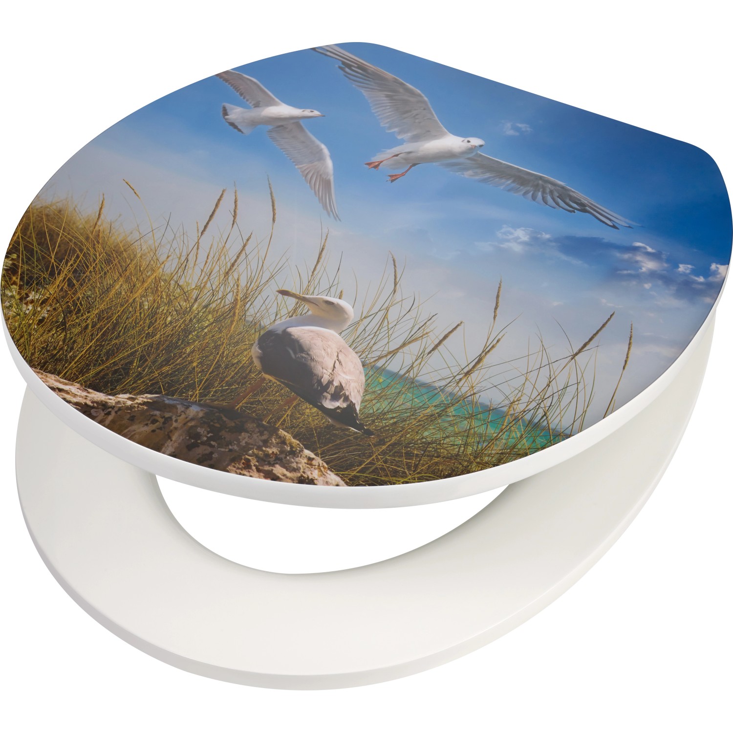 baliv WC-Sitz Paru mit Absenkautomatik MDF Holzkern Möwen