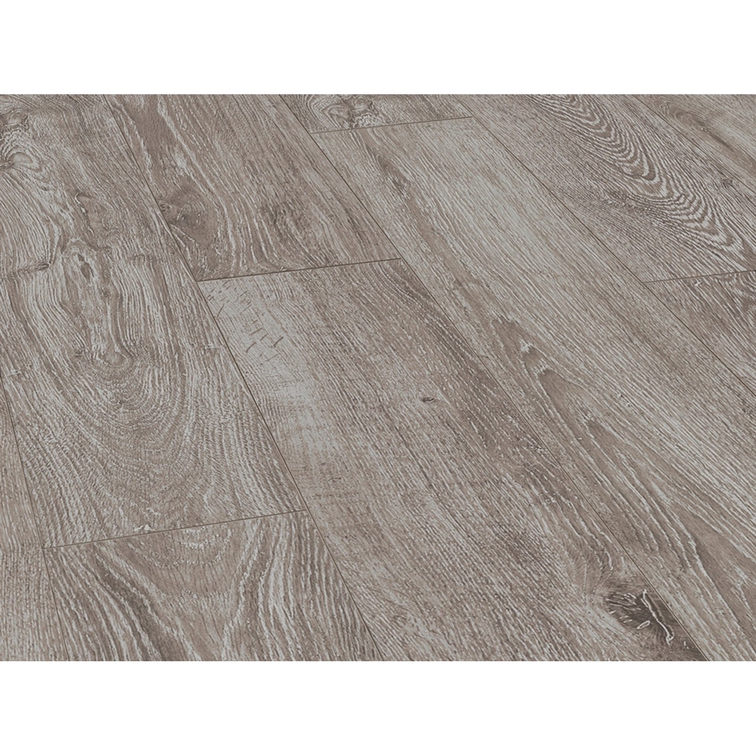 Parador Basic 400 Laminat 8 mm Wasserfest Eiche Lichtgrau