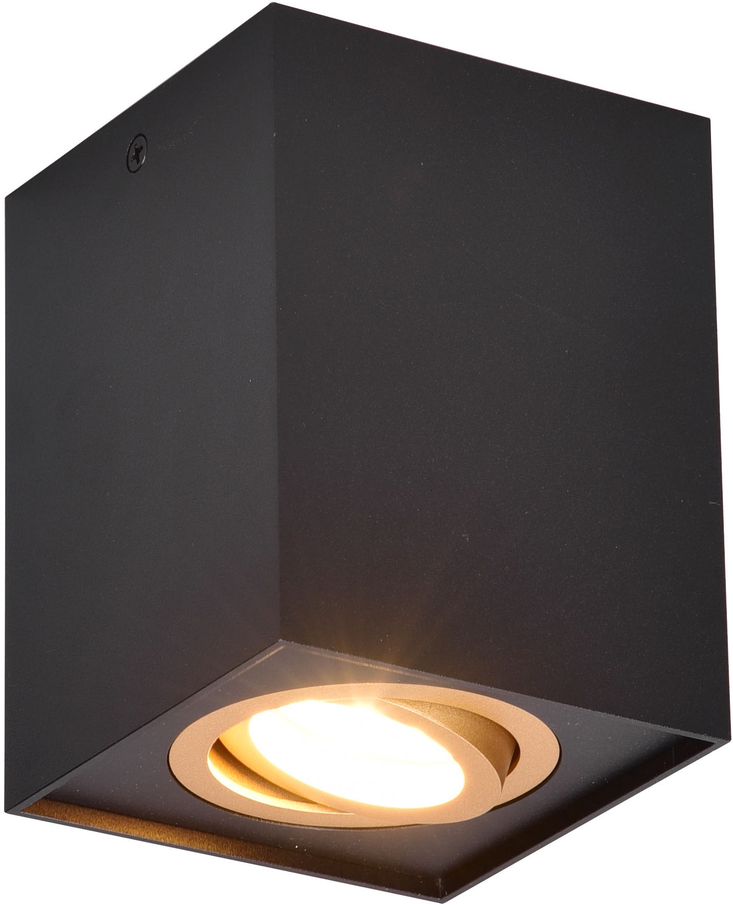 TRIO Leuchten Deckenleuchte »BISCUIT, Deckenstrahler exkl 1xGU10 max 35W Lichtkegel schwenkbar« GU10 1 Stk. warmweiß - kaltweiß GU10 Strahler einflammig Leuchtmittel wechselbar Aufbauspot Flur Küche