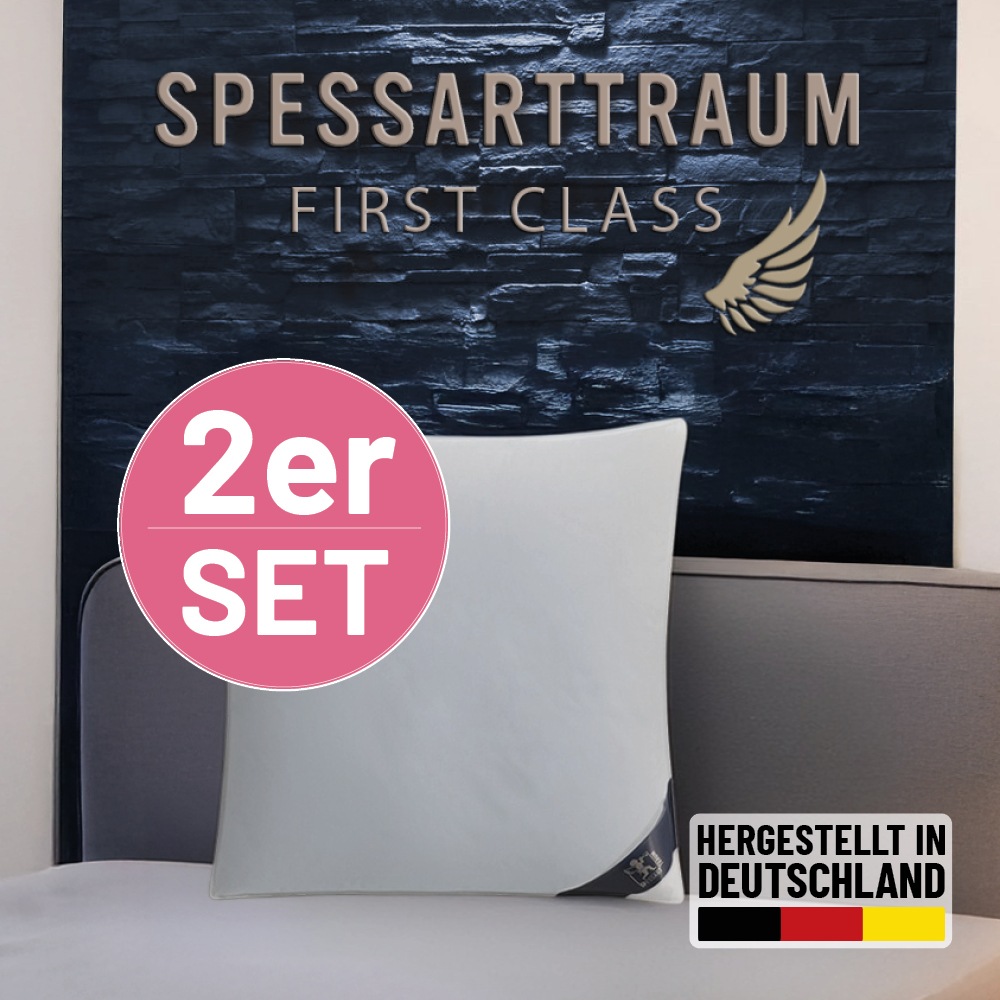 SPESSARTTRAUM Daunenkissen »FIRST CLASS, Kopfkissen 1-tlg. oder 2-tlg. 40x80 oder 80x80 cm« Füllung: 90% Daunen, 10%Federn Spar-Set, 2 Stk. tlg. hergestellt in Deutschland, allergikerfreundlich, im Set günstiger