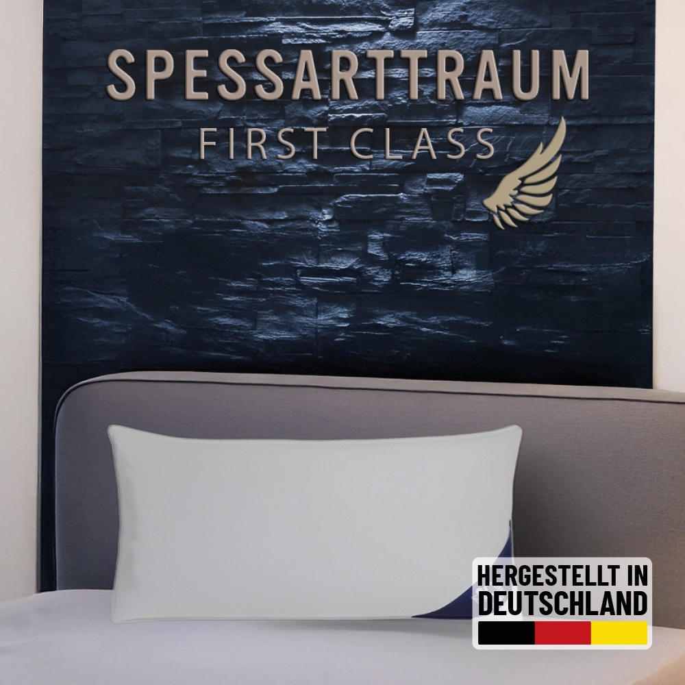 SPESSARTTRAUM Daunenkissen »FIRST CLASS, Kopfkissen 1-tlg. oder 2-tlg. 40x80 oder 80x80 cm« Füllung: 90% Daunen, 10%Federn 1 Stk. tlg. hergestellt in Deutschland, allergikerfreundlich, im Set günstiger