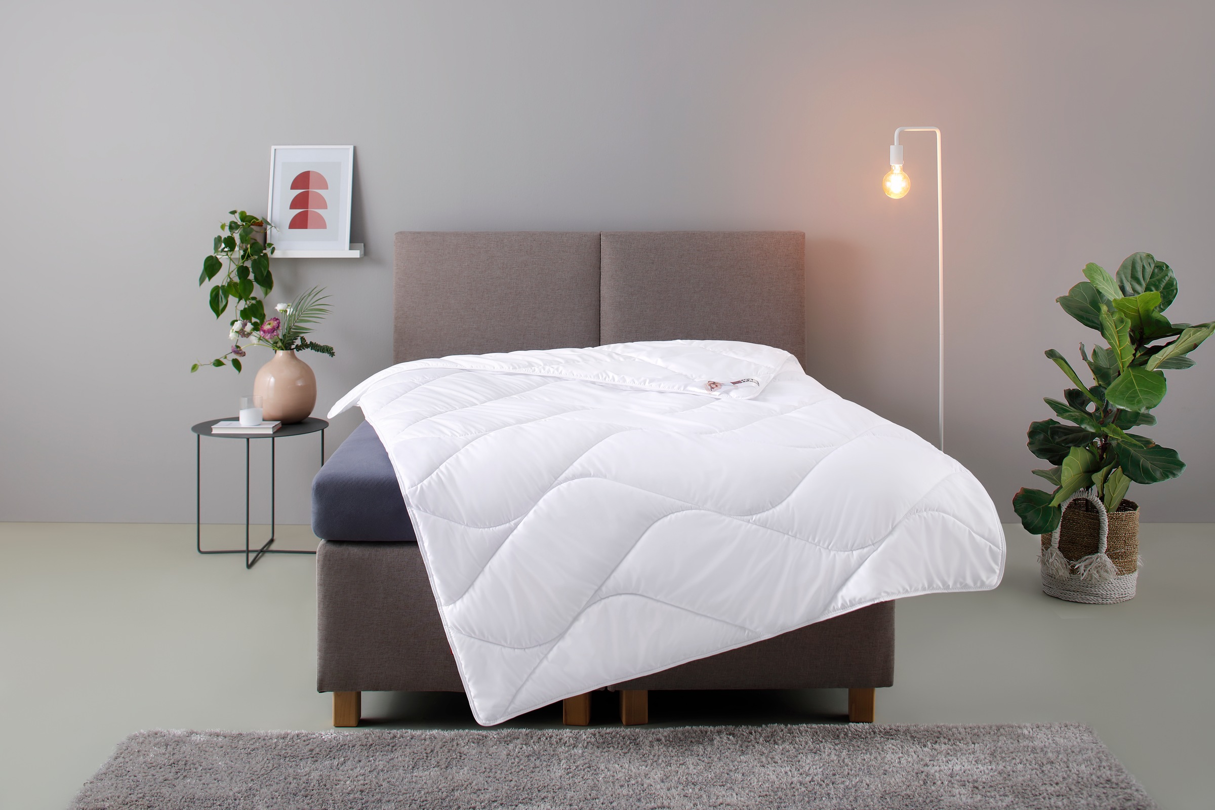 my home Microfaserbettdecke »Fantasy, Bettdecke 135x200...