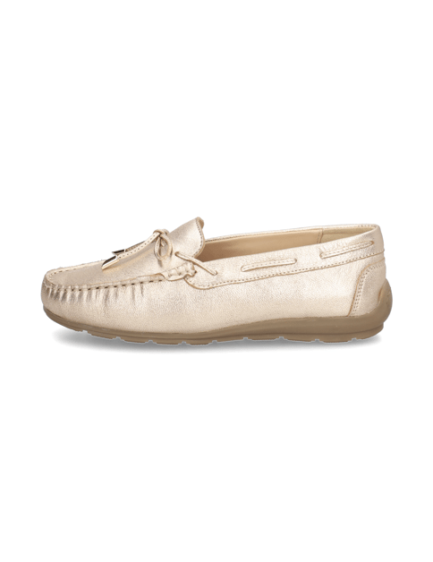 Ara Alabama-Sport