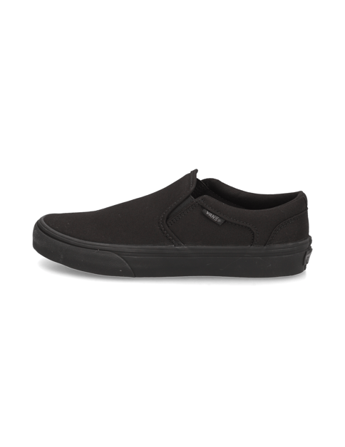 Vans Asher