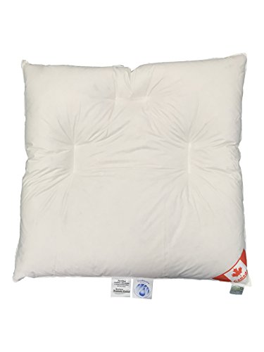 Bauchschläferkissen Canadian Goose 80x80 cm weiße canadische Gänse Daunen 600g 100% Natur