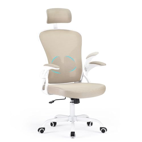 Farini Ergonomischer Stuhl Schreibtischstuhl Höhenverstellbar BürostuhlBequem mit Kopfstütze, Home Office Stuhl Computer Stühle Chefsessel mit Armlehne, 150 Kg PC Stuhl mit Rollen