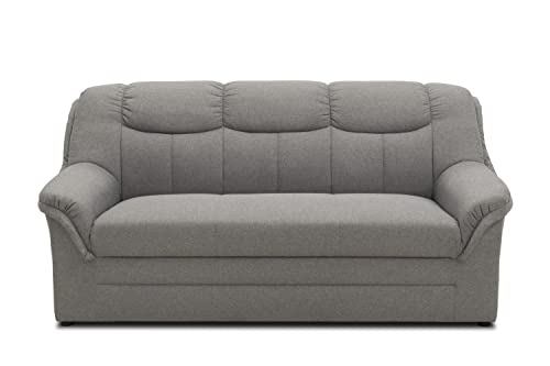 DOMO. collection Sofa Berlin, klassisches 3er Sofa, Polstergarnitur mit hochwertigem Federkern, 3 Sitzer 178 x 90 x 89 cm (BxTxH), hellgrau