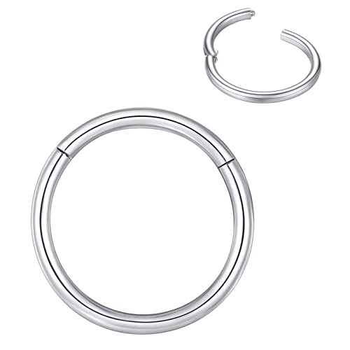 BLESSMYLOVE Silber 1.0mm 8mm Nasenring Hoop 316L Chirurgenstahl Knorpelohrring Septum Clicker Ring Edelstahl Klappbarer Segmentring Lippenring Conch Daith Helix Rook Tragus Snug Body Piercing Schmuck