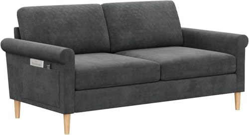 Vesgantti Sofa 2 Sitzer, 164cm Modernes 2er Sofa mit beidseitigen Taschen, Stoff couch mit 2 Kissen und Sitzkissen, Doppelsofa für Wohnzimmer, Schlafzimmer, Büro, Montage ohne Werkzeug 164L*76D*85H cm