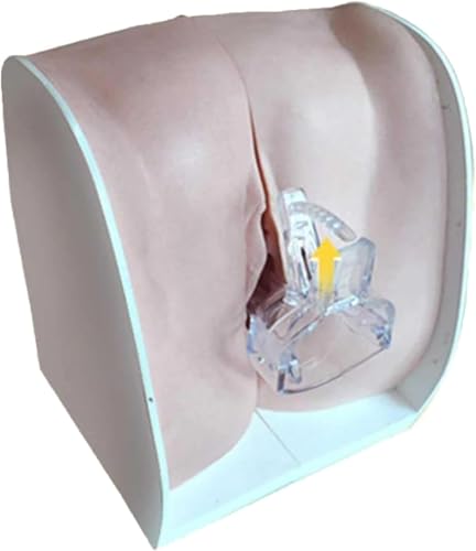 UIGJIOG Modelle Zur Empfängnisverhütung Für Frauen,Modell Zur Empfängnisverhütungsberatung,Lehre Und Ausbildung Von Medizinischen Modellen Für Gynäkologische Untersuchungen Zur Familienplanung