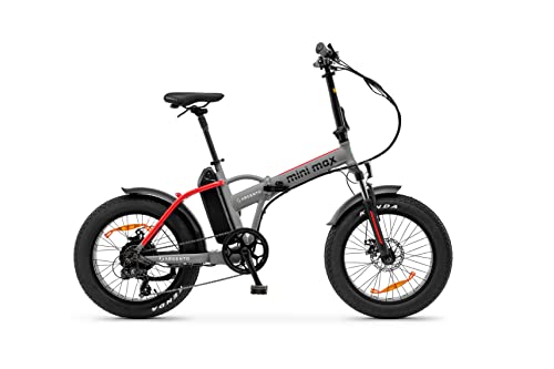 Argento Mini Max Elektro-Fahrrad, Motor 250W und 60Nm, 36V und 10.4Ah Akku, Off-Road Reife, Unisex, Grau und Rot,