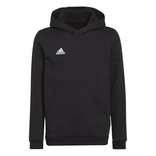 adidas Unisex Kinder Entrada 22 Sweat Hoodie, Black, 152