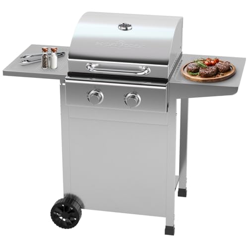 ProfiCook® Gasgrill für Temperaturen bis zu 350°C | Grillroste aus echtem Gusseisen | für Balkon | inkl. Gasdruckminderer und Schlauch | 2 Brenner | klein | 2 Ablagen | PC GG 1309 silber