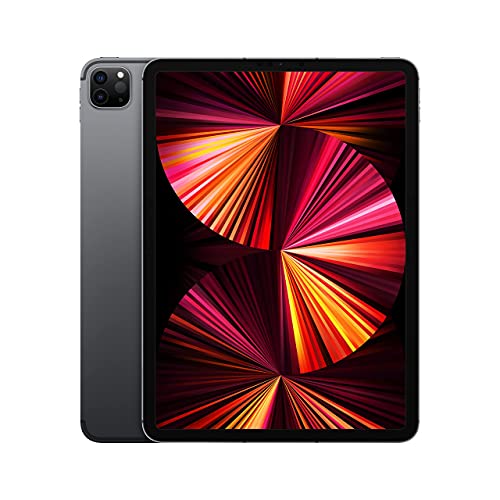 2021 Apple iPad Pro (11-zoll, Wi-Fi + Zellular, 256GB) Space Grau (Generalüberholt)