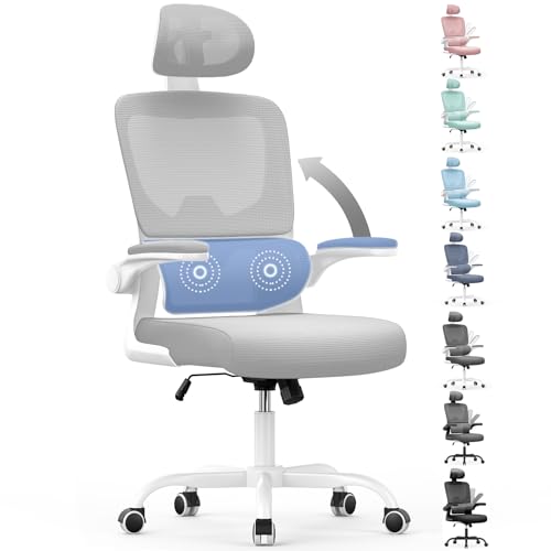 naspaluro Bürostuhl, Ergonomischer Bürostuhl mit Verstellbarer Kopfstütze, Armlehnen, Dynamischer Lordosenstütze, Schreibtischstuhl mit Atmungsaktivem Netzbezug für das Home Office,Upgrade Grau