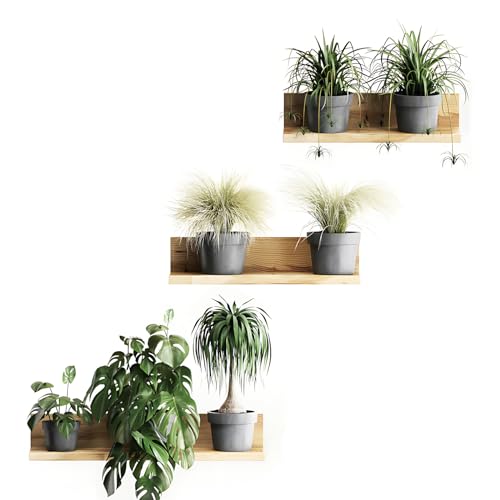 Wandsticker Pflanzen Wandtattoo Groß 3D Wandtattoo Pflanzen Grün Selbstklebend für Wohnzimmer, Wanddekoration Topfpflanze Wandaufkleber für Schlafzimmer Wohnzimmer Kinderzimmer Küche Büro Flur (B)
