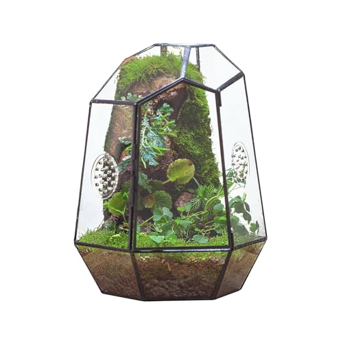 Terrarium
