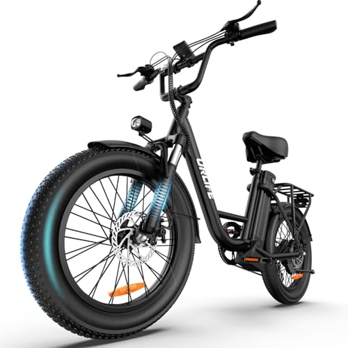 URLIFE E-Bike für Erwachsene, 20 * 3.0