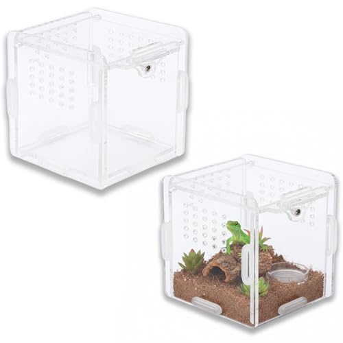 2 Mini Terrarium Set, Acryl Terrarium, Faunabox für Spinnen und Reptilien, Pflanzen Terrariums, 8x8x8 cm, Ideal für Reptilienhalter und Tierliebhaber
