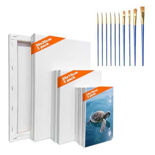 9 Stück Leinwand zum Bemalen, Leinwände für Acrylfarben, Keilrahmen, Strukturpaste Leinwand mit 10 Bürsten, Leinwände 30x20, 20x15, 15x10 cm, für Heimdekoration Kunststudio
