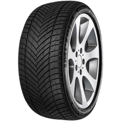 Imperial 195/55 R20 95H XL Ganzjahresreifen Allwetter M+S 3PMSF Reifen