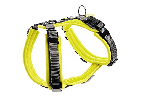 HUNTER Geschirr Maldon 53-71/M