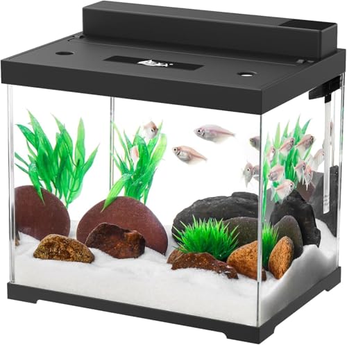 AQQA Klein Aquarium Komplettset - 4 Farben LED Beleuchtung, Doppeltes Filtersystem, Pumpe, Perfect for Feeding Shrimp and Snails, 9L