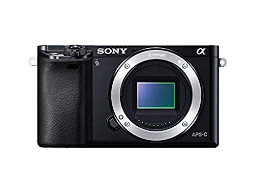 Sony Alpha 6000 Systemkamera (24 Megapixel, 7,6 cm (3