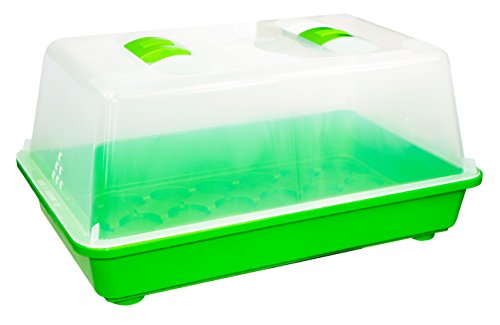 Romberg Gewächshaus M (Zimmergewächshaus) - 38 x 24 x 19 cm, mit Belüftung, bruchsicherer Deckel, sehr stabil, Mehrfarbig