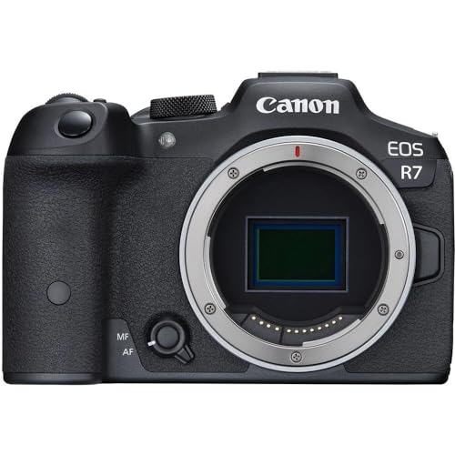 Canon EOS R7 Kamera spiegellose Camera (DSLR Upgrade, Hybridkamera, 4K/30p Videoaufnahmen, bis zu 15 B/s, WLAN, Deep-Learning Dual Pixel CMOS AF II Fokussystem) schwarz