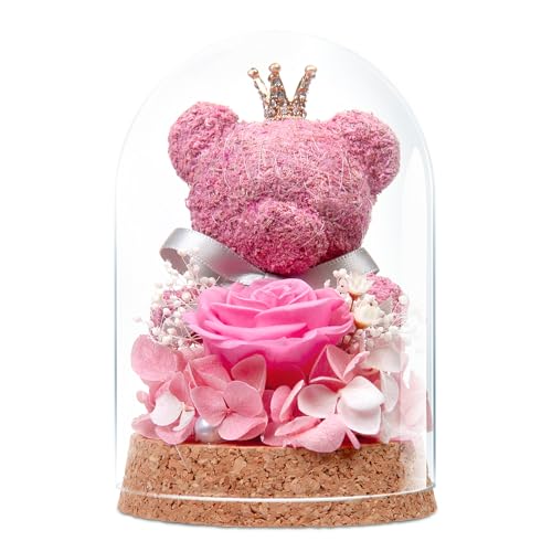 DoraMagic Eternal Rosen Teddybär Geschenk für Sie, Ewige Rose in Glasglocke mit niedlichem Bär für Freundin, Mutter, Ehefrau, Oma zum, Geburtstag, Jahrestag Geschenk, Valentinstag (Rosa)