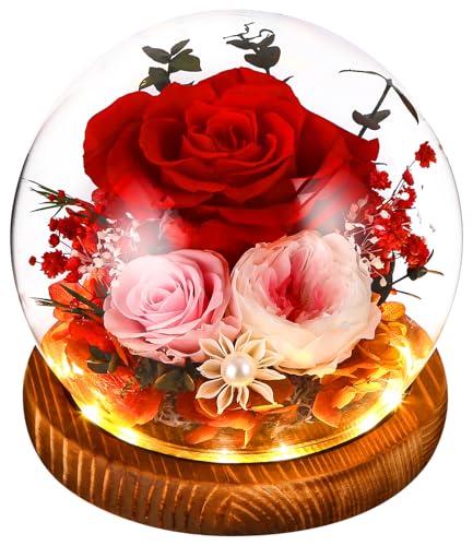 SOBEAU Ewige Rose im Glas mit Licht, Infinity Glasrose für Frauen, Rosen Blume Licht LED für Frauen Mama Weihnachten Valentinstag Geburtstag Jahrestag Geschenke