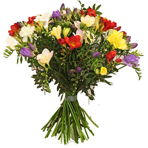 Flora Trans- Blumenstrauß mit frischen Freesien -Blütenduft - Geburtstag - Lieferung innerhalb 1-2 Werktage