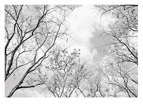 WallArena - Vlies Fototapete Baumkronen Wald schwarz weiß Baum Himmel 350x250 cm - Fototapeten - Tapeten - für Wohnzimmer Schlafzimmer - Vliestapete Wandtapete Tapete 3D Effekt- inkl. Kleister