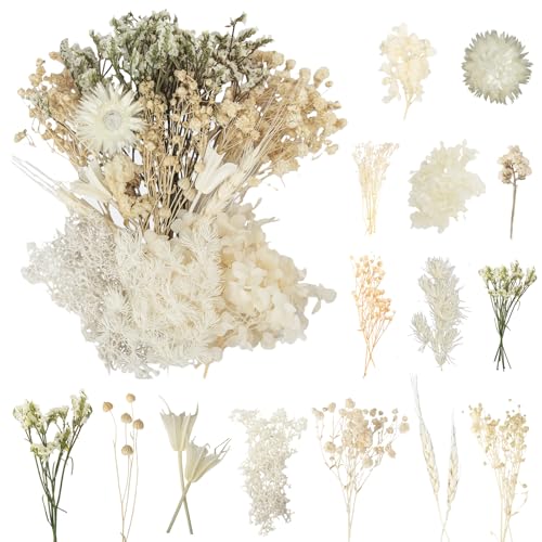 LAUMOE Getrocknete Blumen, Trockenblumen zum Basteln Mini Trockenblumen Set für DIY Epoxidharz Scrapbook Zubehör Handgemachte Heimdekoration Hochzeit (Weiß)