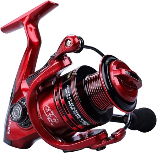 Yun Nong Professionelle leichte Spinn-Angelrolle, 13 + 1 Kugellager, Ultra-glattes Auffangsystem, langlebige Karpfenrolle mit Kohlefaser-Griff, für Salzwasser- und Süßwasserangeln, (1000–5000)