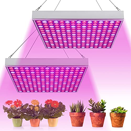 Randaco LED Pflanzenlampe 2x15W, Vollspektrum 225 Rot & Blau LEDs Grow Light, Pflanzenlicht für Gemüse und Blumen