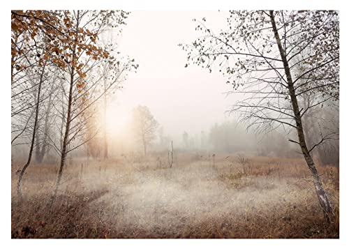 WallArena - Vlies Fototapete Bäume Nebel Wald Landschaft Natur Wiese Gras 368x254 cm - Fototapeten - Tapeten - für Wohnzimmer Schlafzimmer - Vliestapete Wandtapete Tapete 3D Effekt- inkl. Kleister