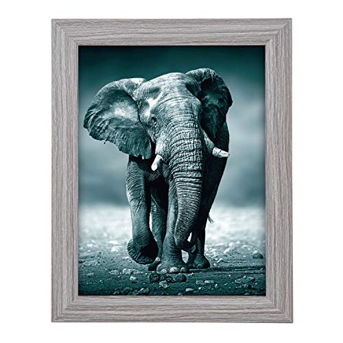 goldbuch 92 0743 Bilderrahmen Toscana aus Holz, Fotorahmen für Bild im 13x18 cm Format, Portraitrahmen mit Aufsteller & Wandhalterung, Einzelrahmen aus MDF, Foto Rahmen, grau