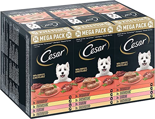 Cesar Megapack Klassik-Terrine - Hundenassfutter in der Schale - 4 Varietäten im Multipack - 24 x 150g
