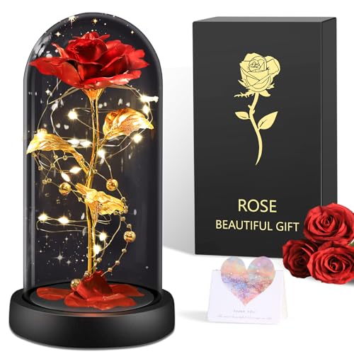 BOLEi Geschenke für Frauen, Ewige Rose im Glas, Geburtstagsgeschenk für Mama, Die Schöne und das Biest Roses, Hochzeitstag Geschenkes für Frau, Rosengeschenk für Sie, Freundin (Klassische Rote Rose-)